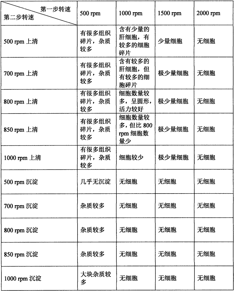 Rapid primary culture method of haliotis discus hannai gill cells and application