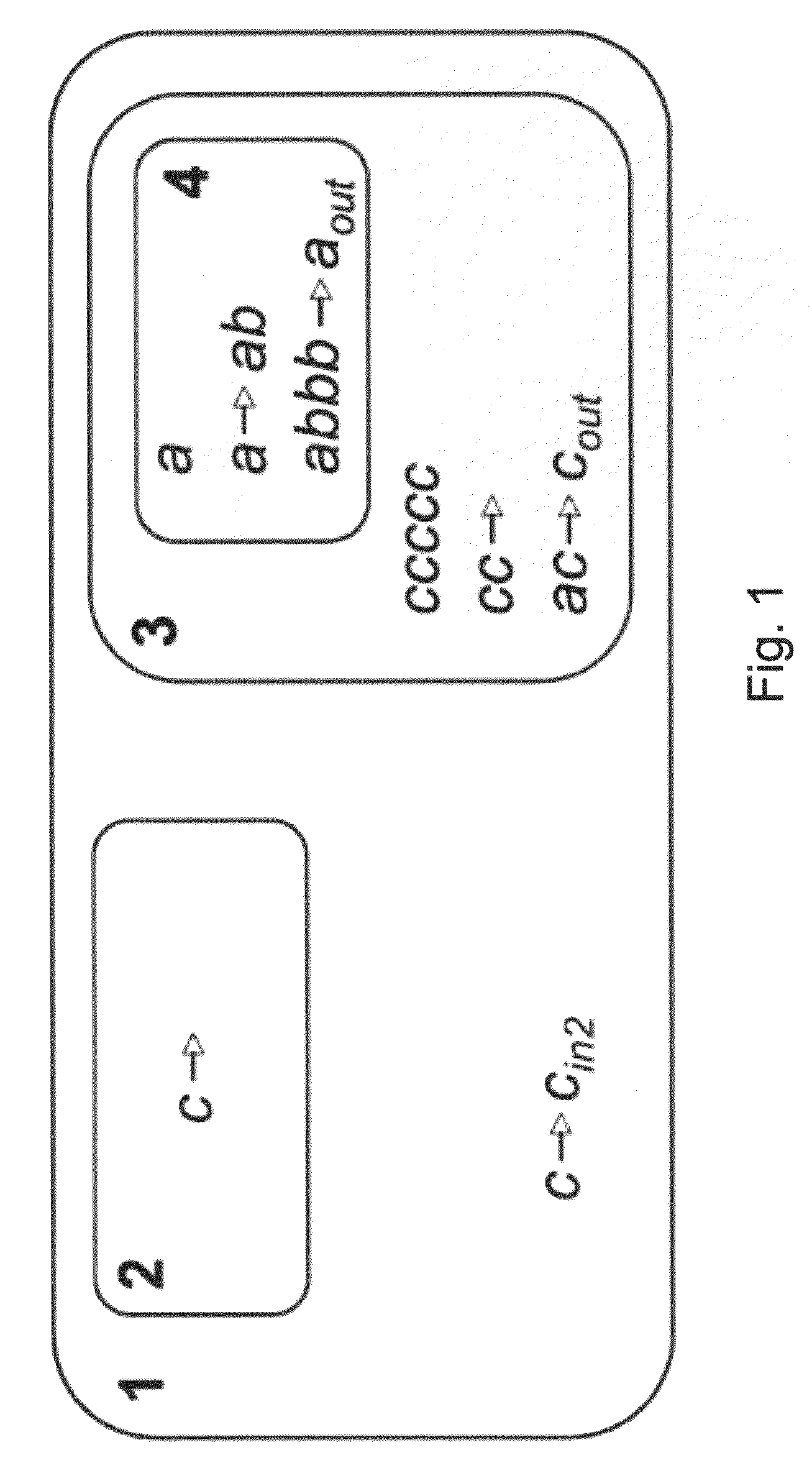 Membrane computing