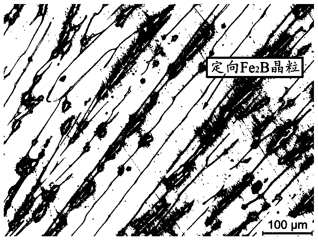 High-wear-resistant oriented Fe2B compact block and preparation method thereof