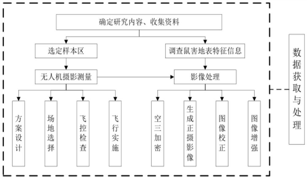 Grassland rodent damage monitoring method based on low-altitude remote sensing