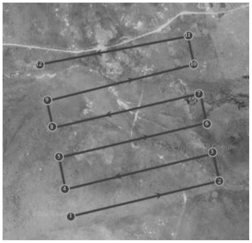 Grassland rodent damage monitoring method based on low-altitude remote sensing