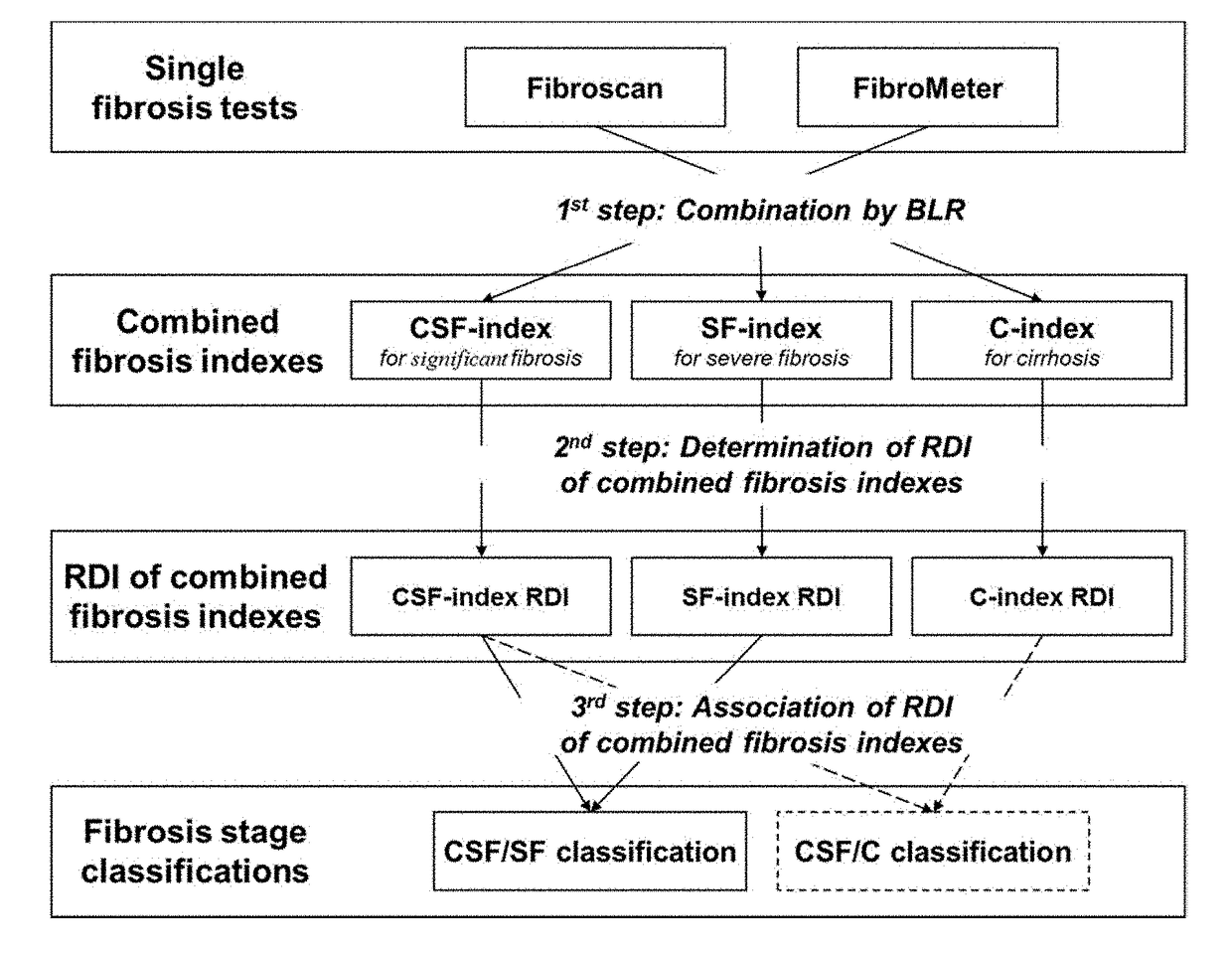 Non-invasive method for assessing the presence or severity of liver fibrosis based on a new detailed classification