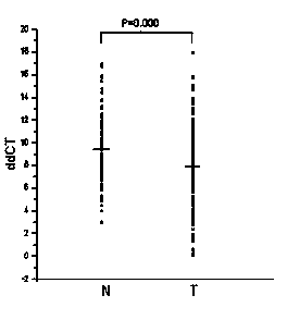 Application of FOXE1 gene and WNT3 gene as well as methylation amplimer and probe of FOXE1 gene and WNT3 gene