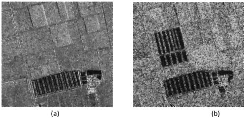 SAR image change detection method based on non-local cv model