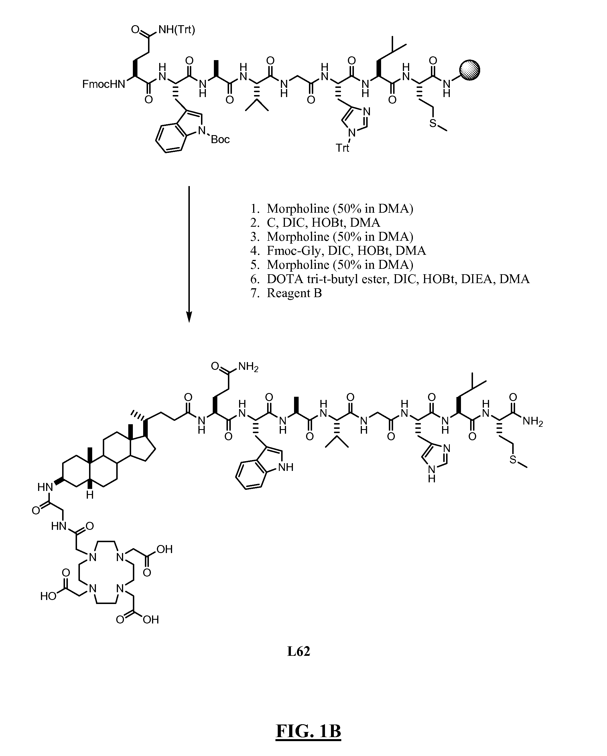 Gastrin Releasing Peptide Compounds