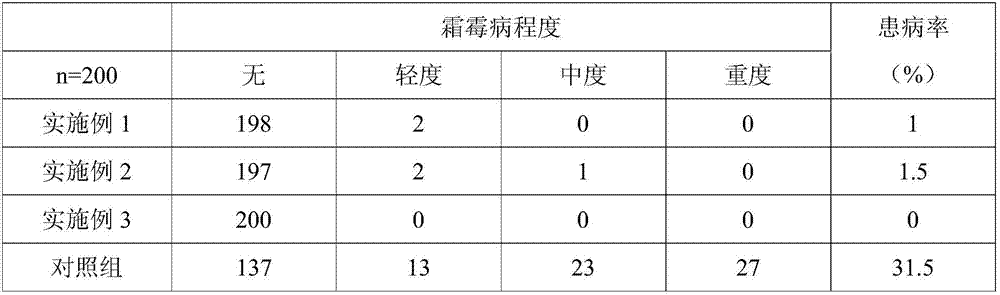 Preparation method of efficient fertilizer capable of improving downy mildew resistance of cucumbers