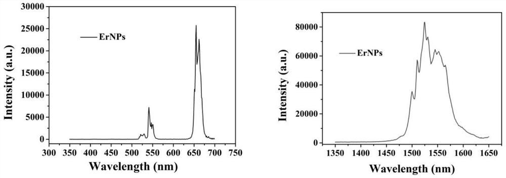 CHI3L1/LN detection card as well as preparation method and application thereof