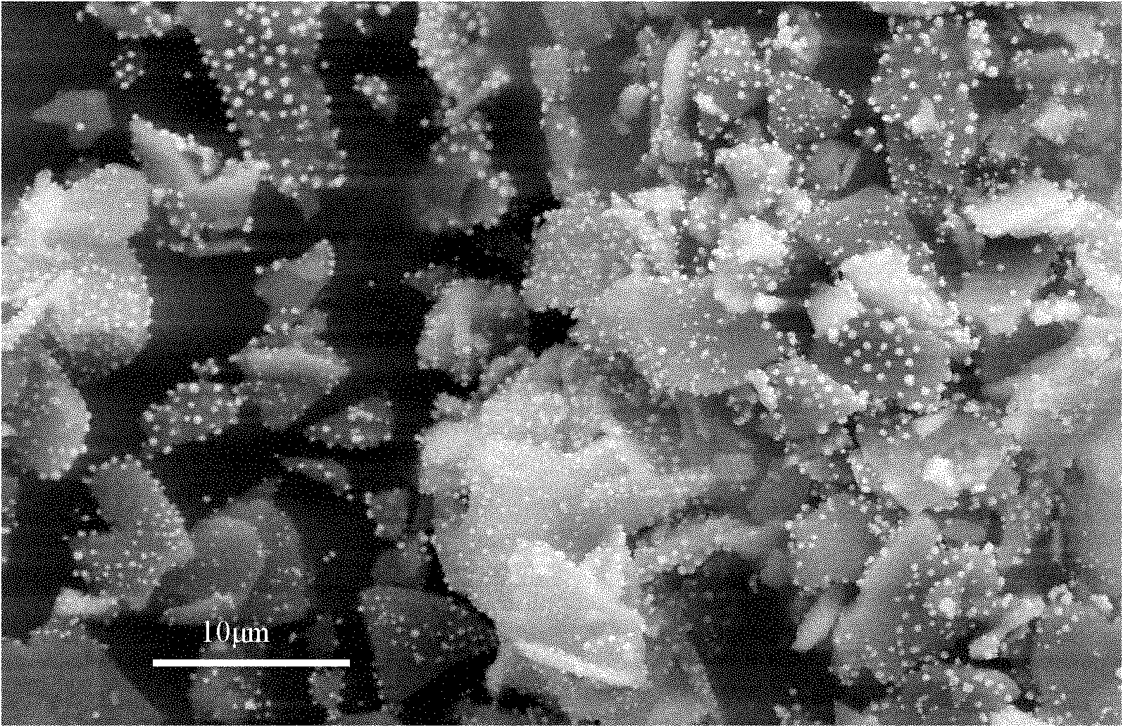 Plant reduction preparation method of load-type silver catalyst