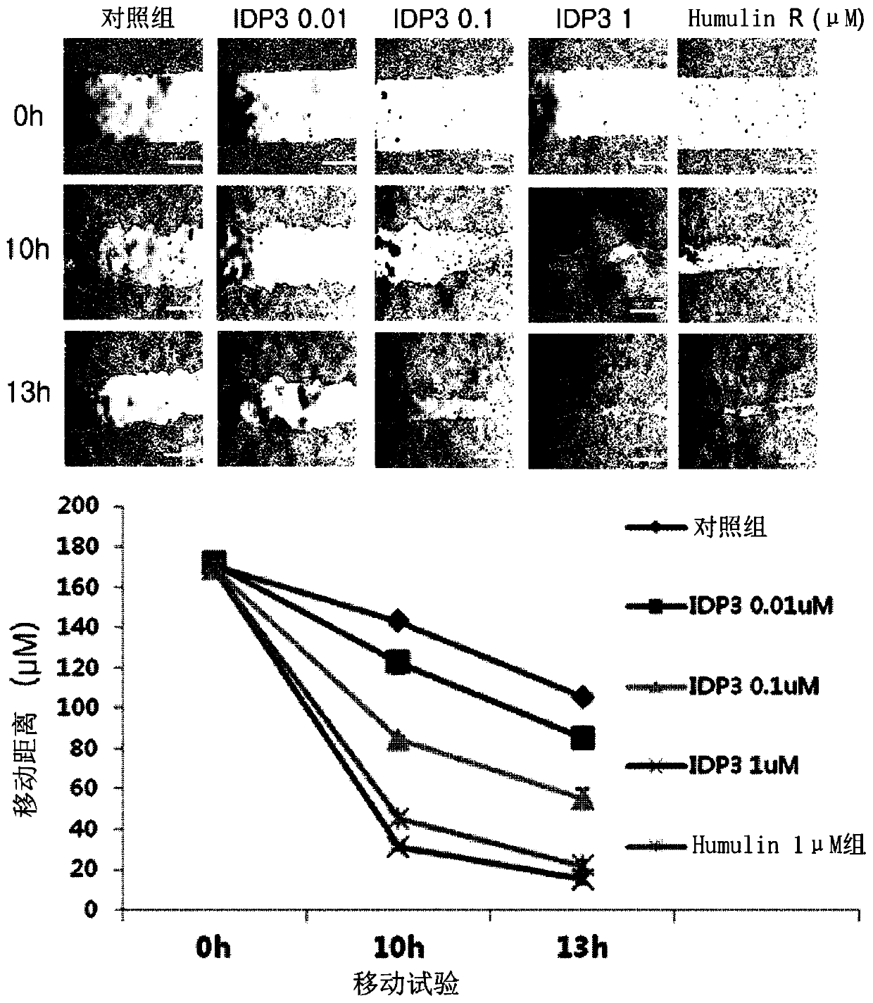 Insulin a-chain derived peptide fragment and pharmaceutical composition for preventing or treating diabetes or diabetic wounds, containing same