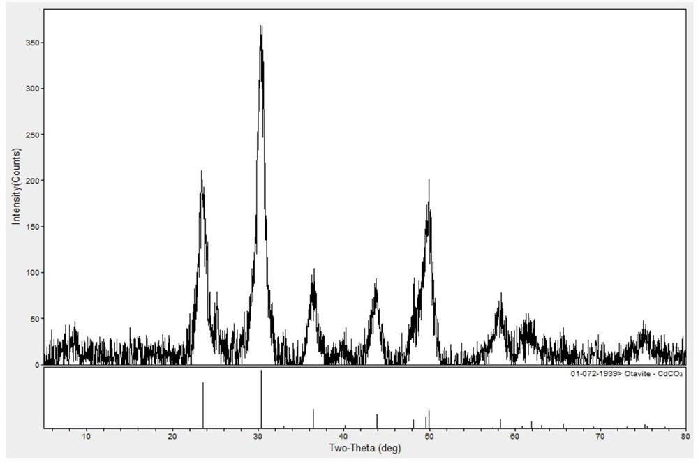 A method for Citrobacter freundii to remove cadmium in water and generate nanomaterials