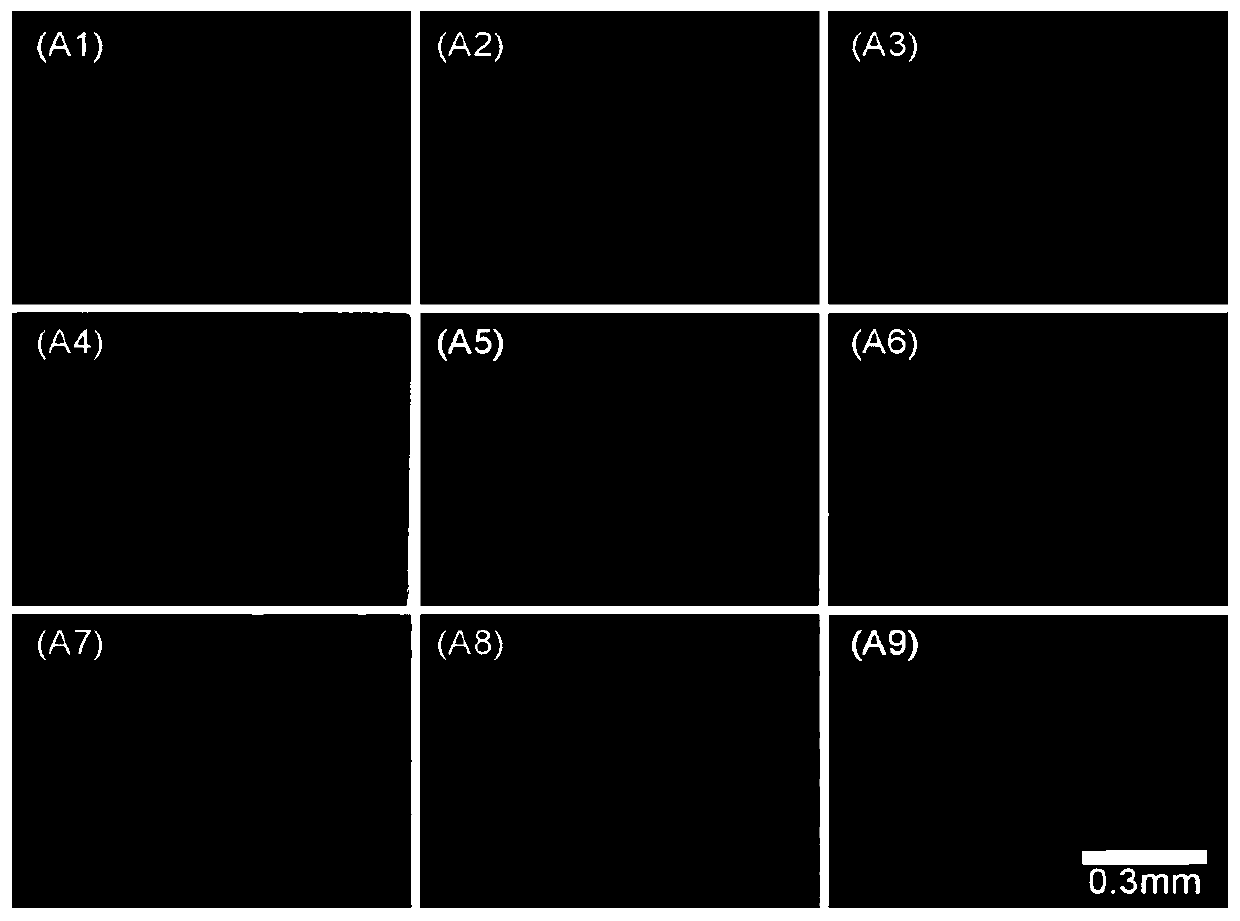 Micro-arc oxidation electrolyte, micro-arc oxidation film layer as well as preparation method and application of micro-arc oxidation film layer