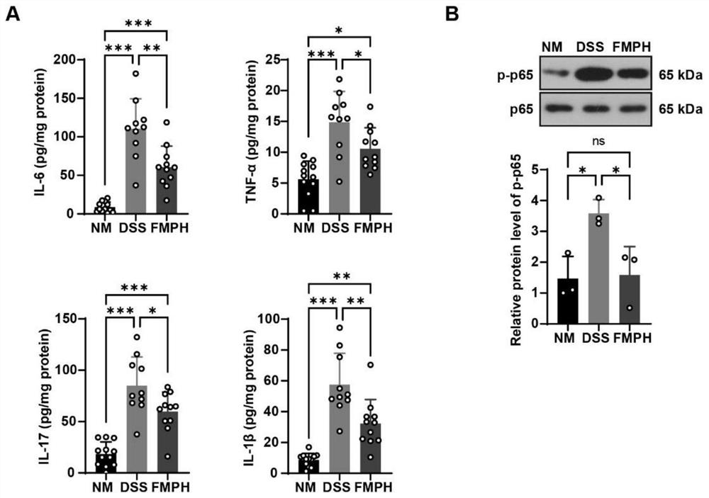 Preparation method of millet protein and millet protein hydrolysate and application of millet protein hydrolysate