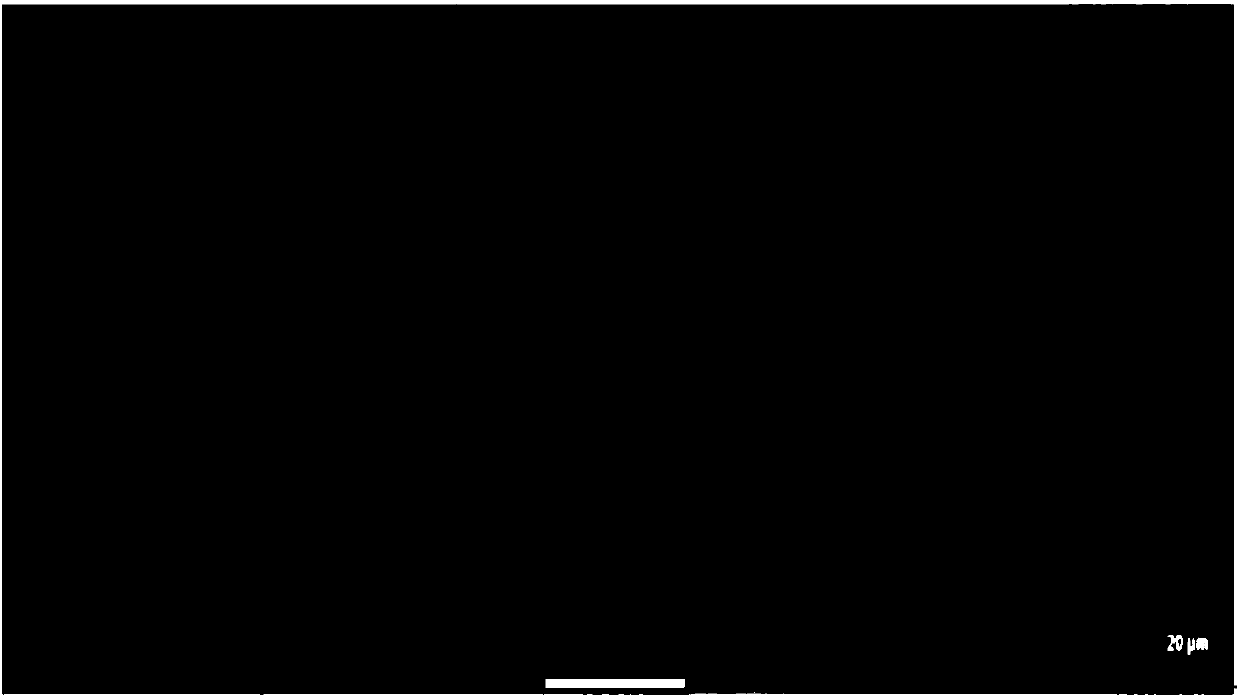 Rare earth-containing superpure high-chromium ferrite anti-wrinkle stainless steel and preparation method thereof