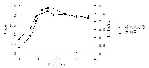 Method for carrying out high-density culture on bacillus subtilis