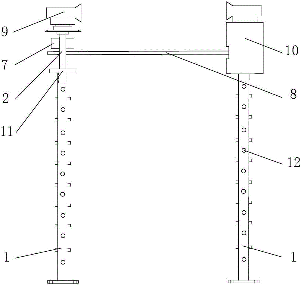 Grape drip irrigation system