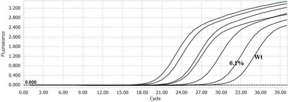 Prime group, probe group and kit for detecting Kras gene mutation