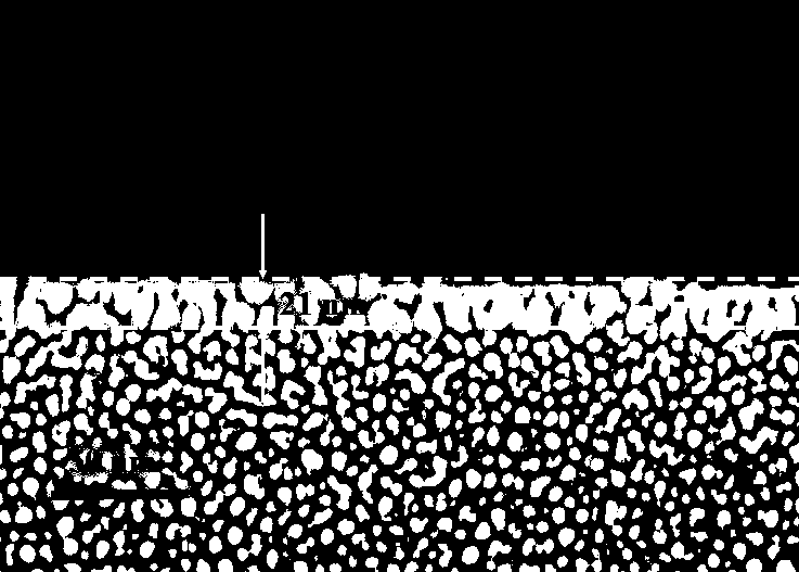 CsPbBr3 quantum dot-silicon based composite structure solar cell