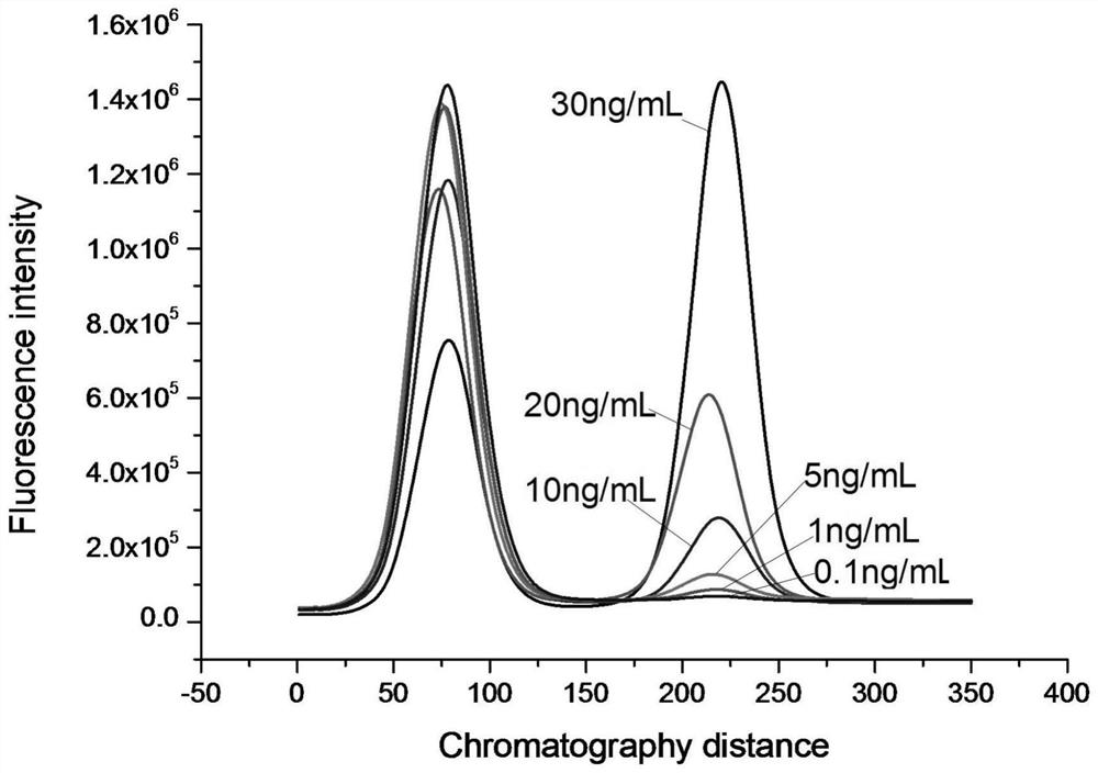 ctni-ctnc-ctnt trimer protein and its preparation method and ctni detection kit