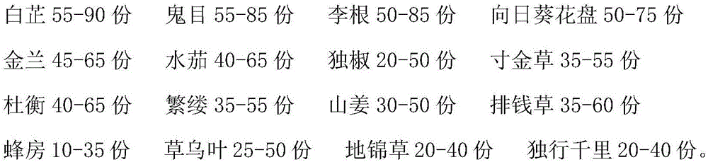 Traditional Chinese medicine preparation for nursing patient suffering from toothache and preparation method