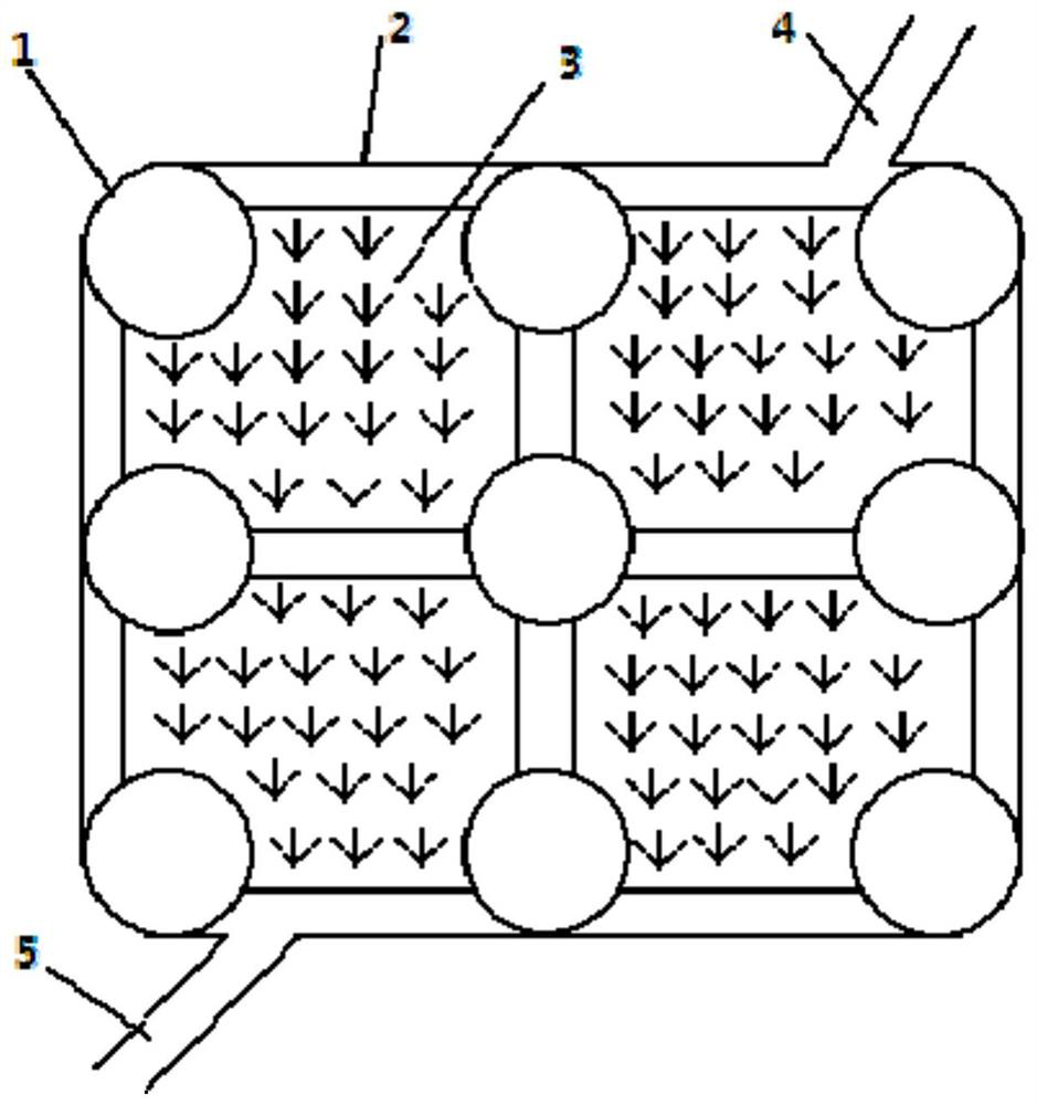 Rice and shrimp co-culture ecological breeding method