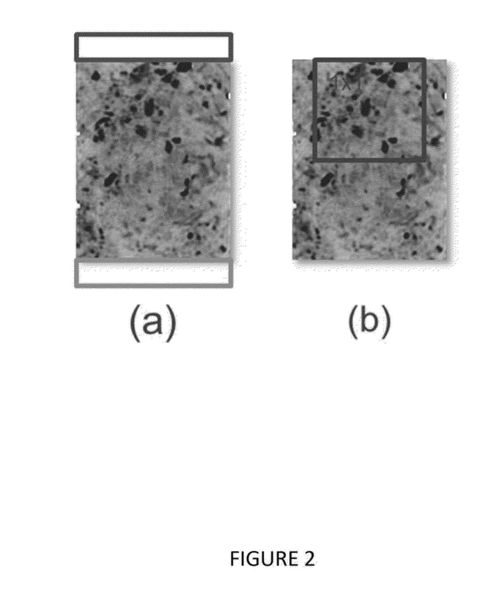 System and Method of Pore Type Classification for Petrophysical Rock Typing