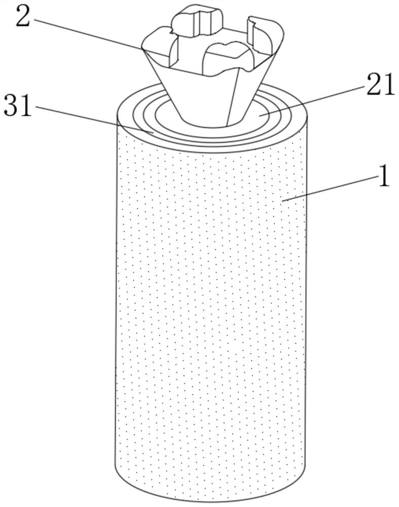 Composite material type oral implant device