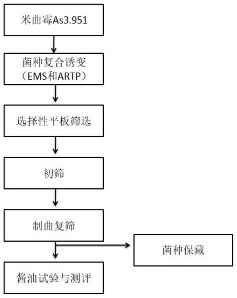 A kind of aspergillus oryzae za109 and application thereof