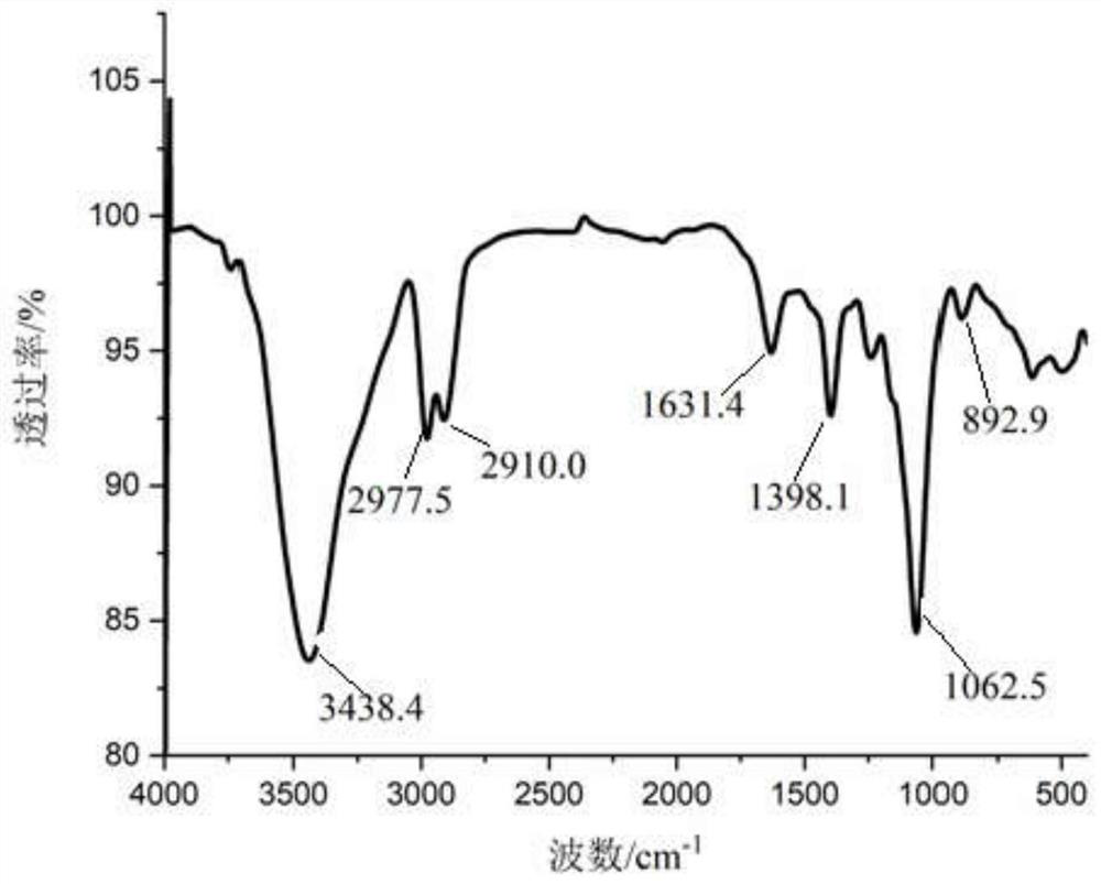 Enteromorpha polysaccharide with immunoregulatory activity and preparation method thereof