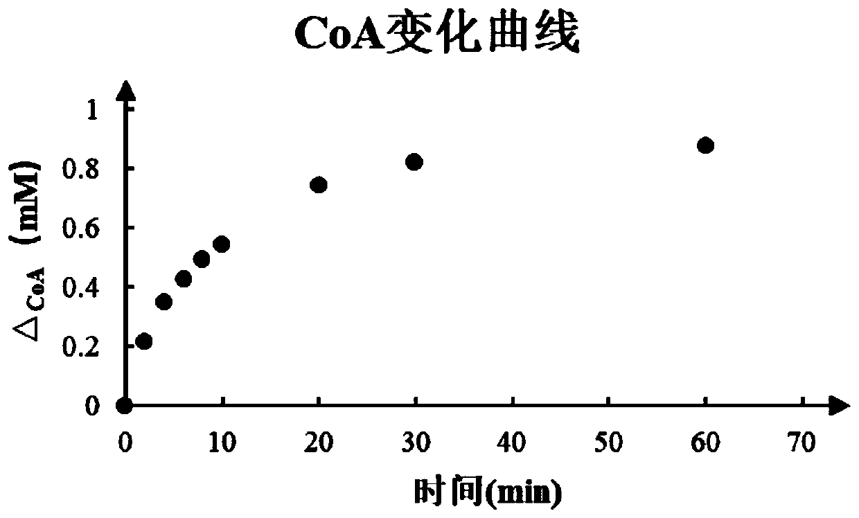 Polyhydroxyalkanoate in-vitro synthesis method