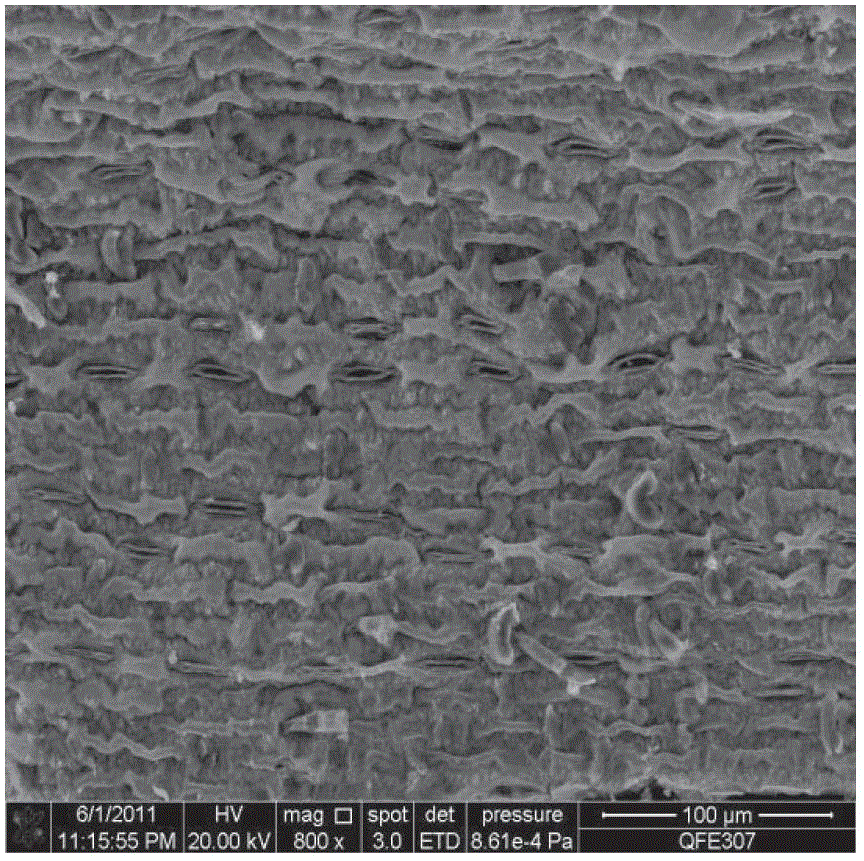 Method for preparing photocatalytic material with multi-component porous classification structure