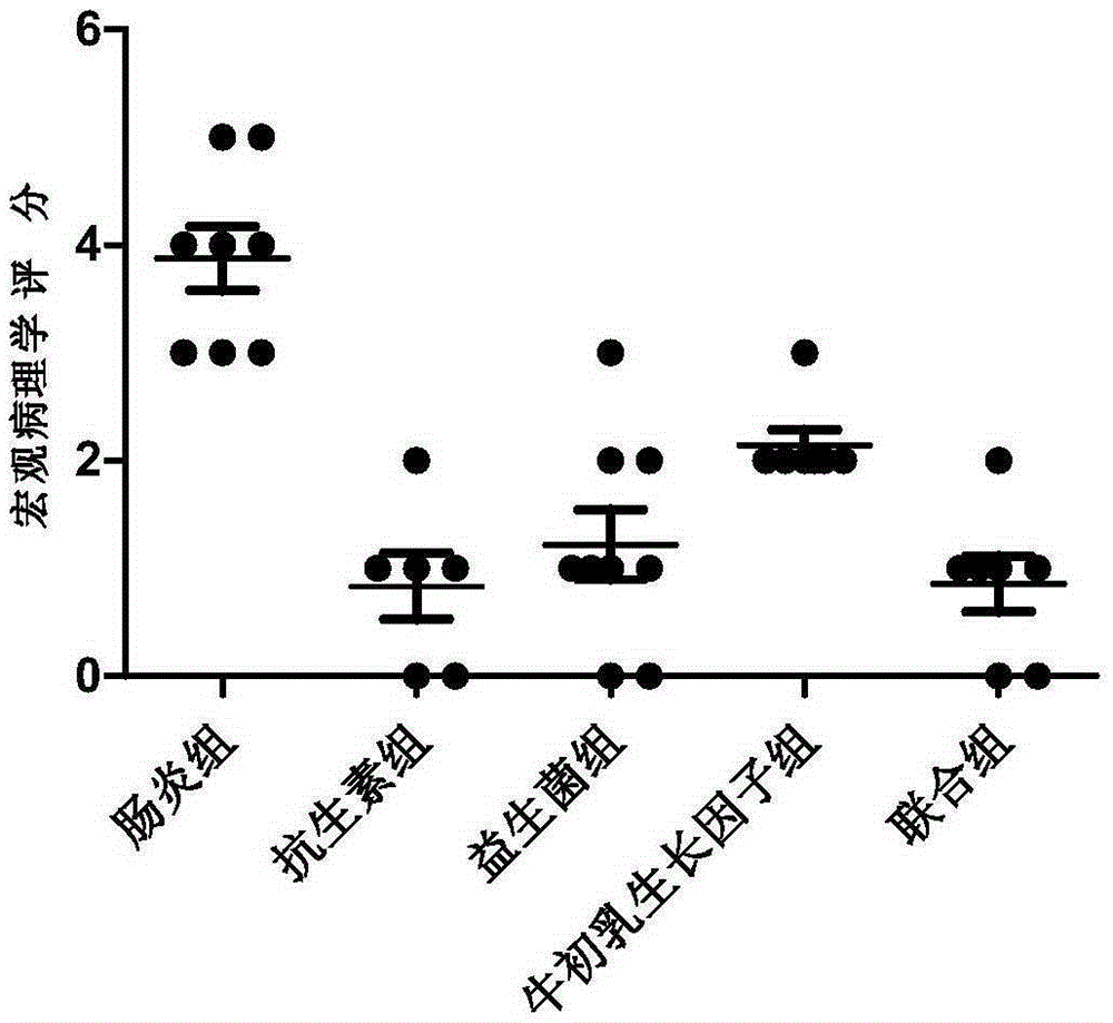 Composition for treating colitis, medicine and preparing method thereof