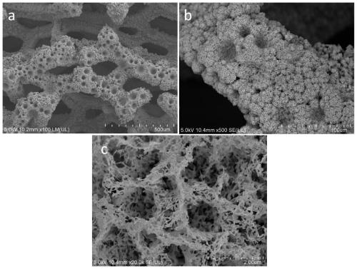 Nickel phosphide compound with multi-level pore structure and preparation method and application thereof