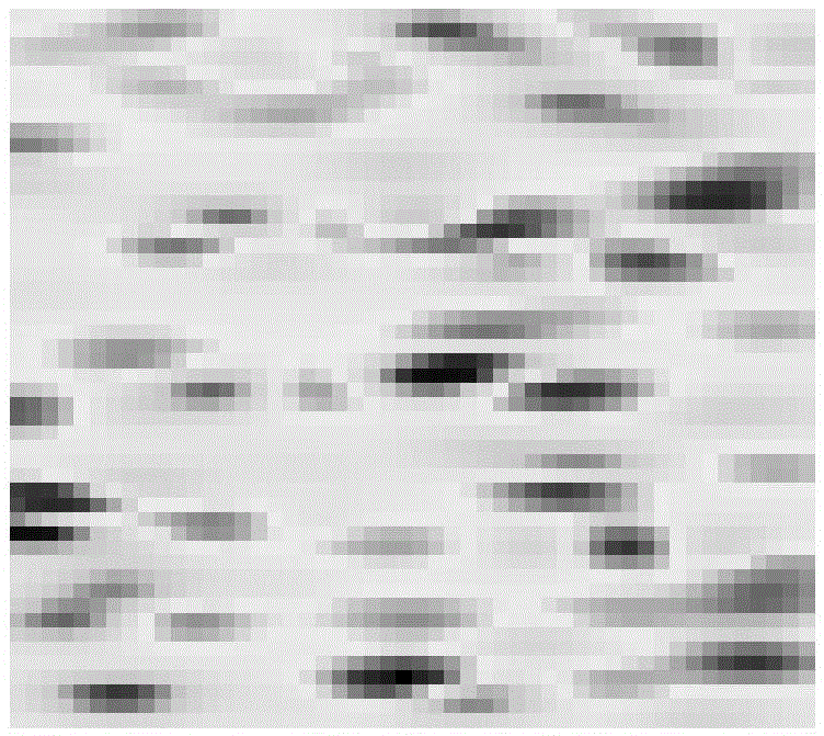 A Method of Establishing Base Station Signal Field Strength Map Based on Compressive Sensing