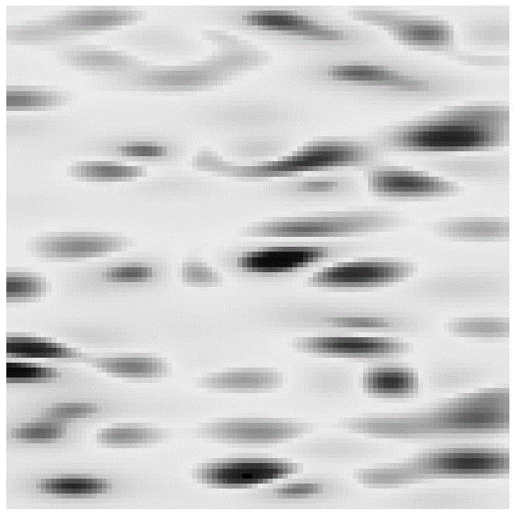 A Method of Establishing Base Station Signal Field Strength Map Based on Compressive Sensing