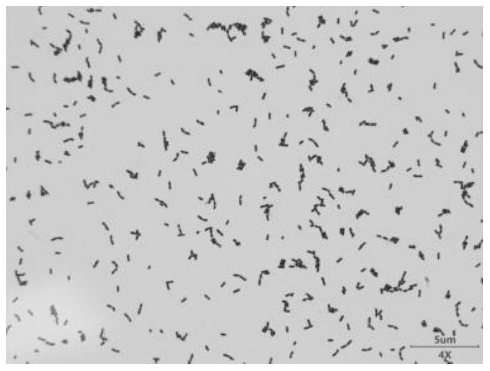 Bacillus with relatively high tolerance to methanol