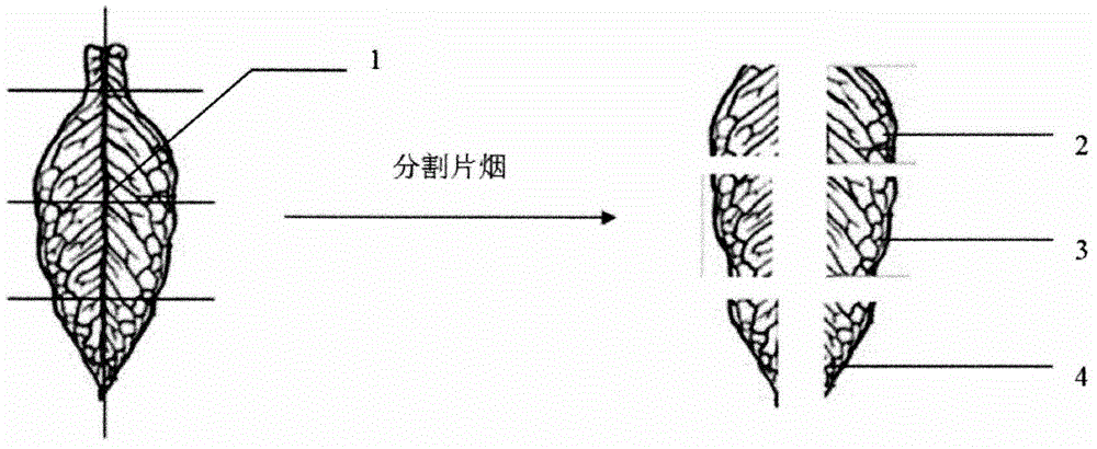 A kind of method for curing tobacco leaf split slices