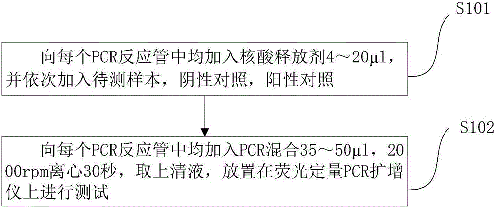 Pseudomonas aeruginosa nucleic acid fluorescent PCR (polymerase chain reaction) detection kit and detection method