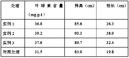 Preparation method of novel photosynthesis accelerant combined nitrogen-magnesium foliar fertilizer