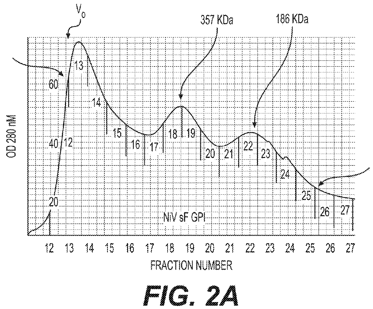 Soluble forms of Hendra and Nipah virus F glycoprotein and uses thereof