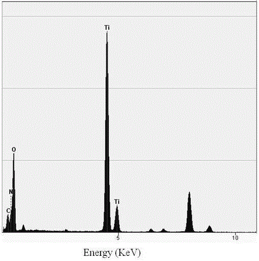 TiO2 catalyst with large specific surface area and visible-light response function and method for preparing TiO2 catalyst