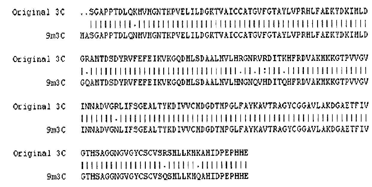 Construction method of recombinant coatpox virus used for expressing foot and mouth disease virus empty capsid