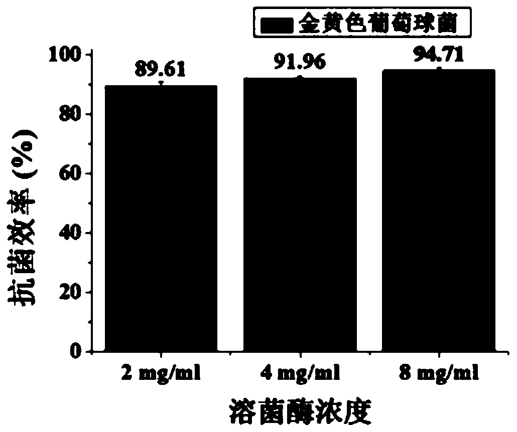 Application of lysozyme two-dimensional nano-film as antibacterial material