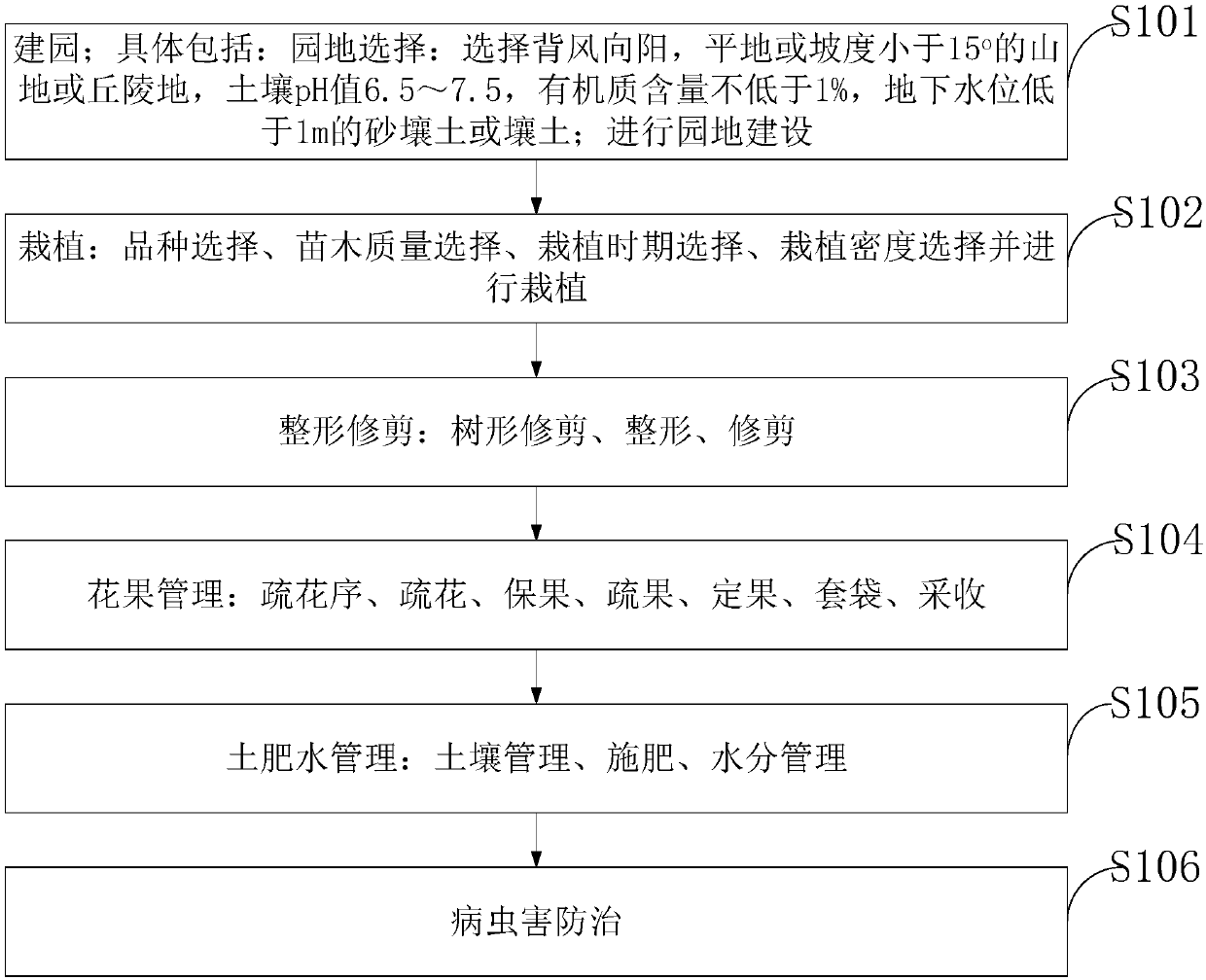 Cultivation method for akebia trifoliata