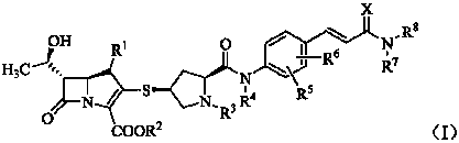 Formyl aniline substituted sulfhydryl pyrrolidine carbpenem compounds