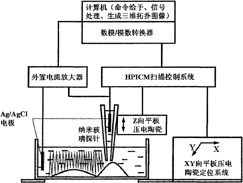 Device and method for evaluating malignancy degree of neuroblastoma