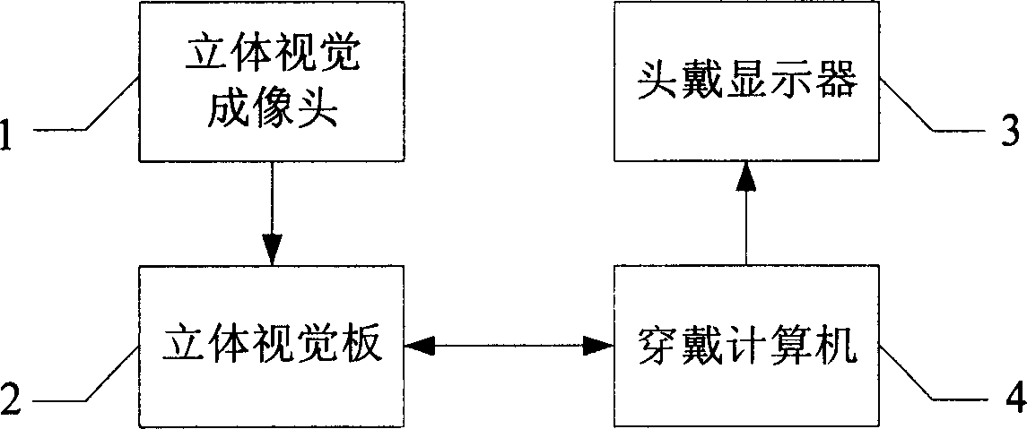 Head carried stereo vision hand gesture identifying device