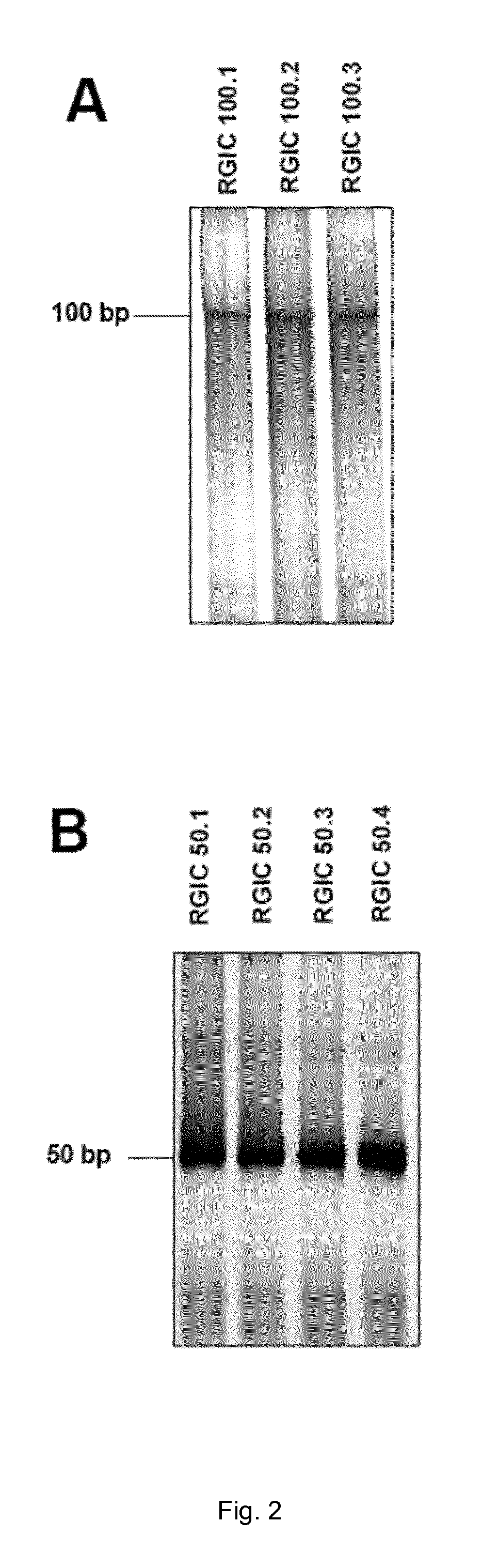 Double-stranded polyC:poly(G/I) RNA for immunostimulation and cancer treatment