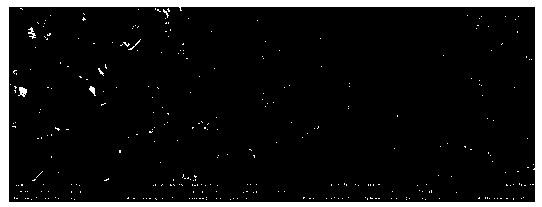 Cellulose skeleton material capable of being industrially produced and applied and preparation method thereof