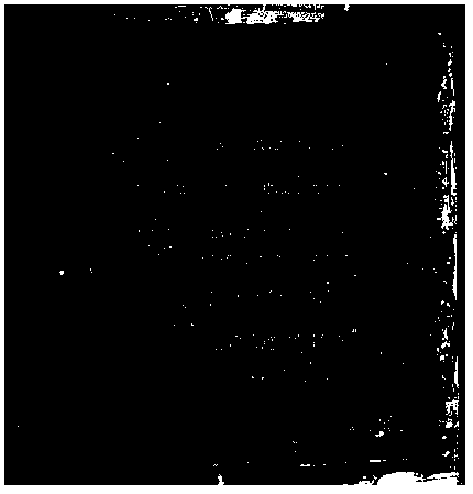 Cellulose skeleton material capable of being industrially produced and applied and preparation method thereof