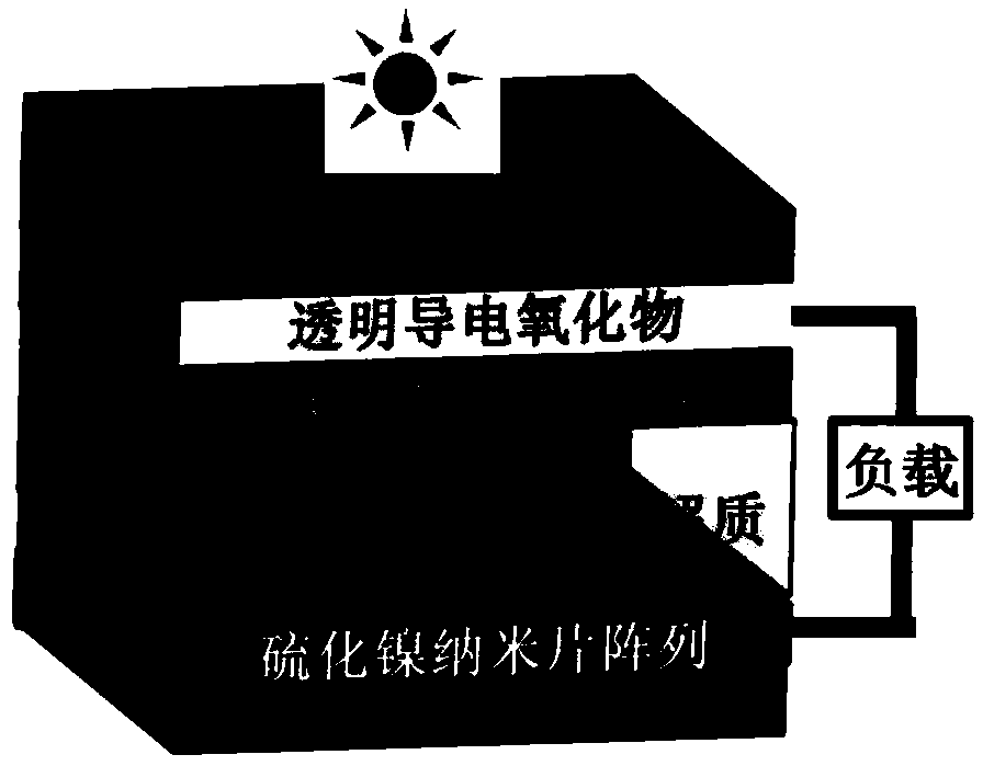 Preparation method for dye-sensitized solar cell counter electrode based on nickel sulfide nanosheets